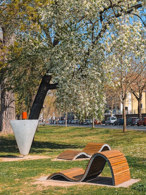 Parcul Cetății din Sibiu se transformă: modernizare cu alei noi și facilități smart