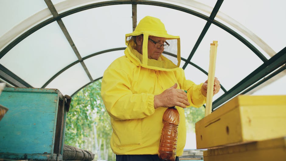 Producătorii de miere vor fi obligați să dezvăluie originea și compoziția amestecurilor