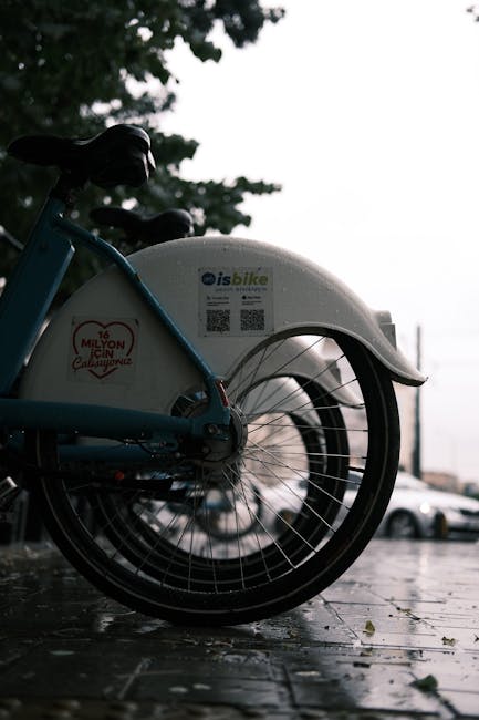 Marea Pedalare 2026: O comunitate unită pe bicicletă în vestul României