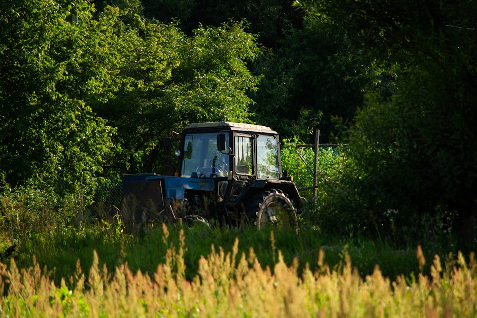 Un bărbat din Tătărani a fost reținut pentru furtul unui tractor agricol