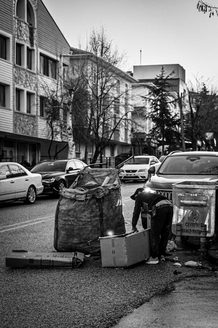 Poliția Locală Baia Mare ridică mașini abandonate pentru un oraș mai curat