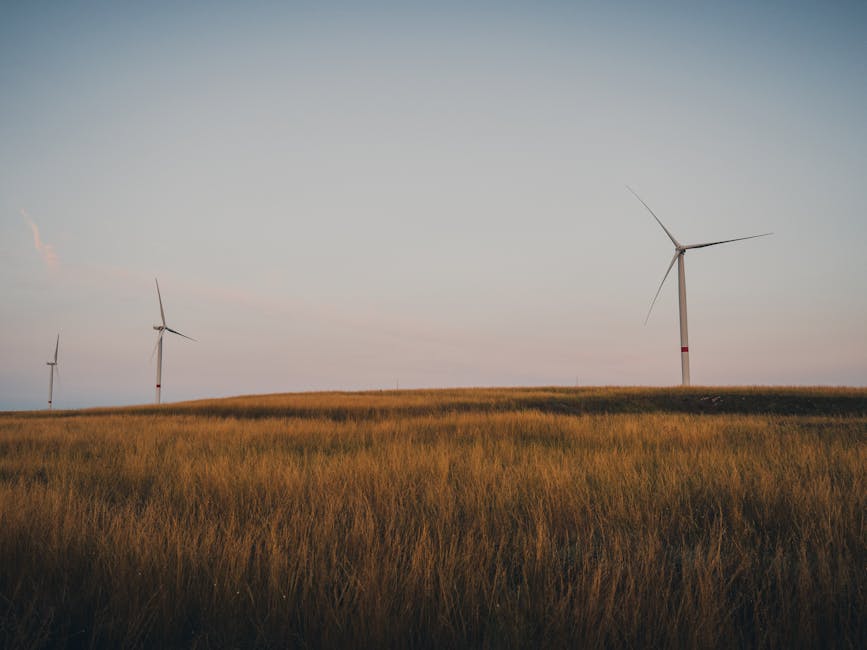 Un plan inovator din Europa încurajează utilizarea electrocasnicelor vara