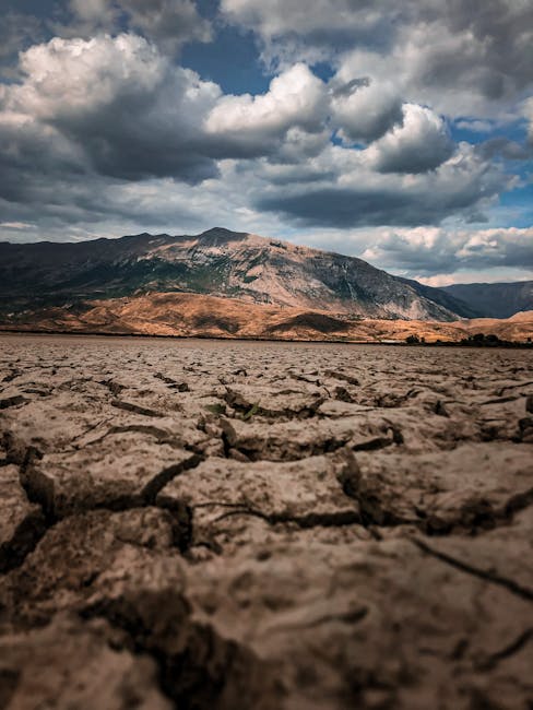 Prognoza meteo pe 4 săptămâni: secetă la început, apoi ploi normale în întreaga țară