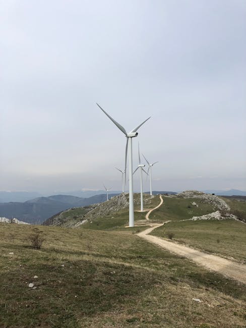 Proiect ambițios: o centrală eoliană în sudul județului Constanța