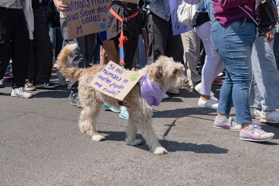 Un incident șocant în Iași: un adolescent a fost îndemnat să comită o faptă brutală împotriva unui câine
