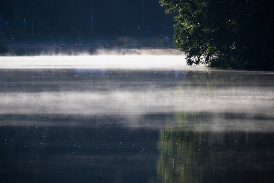 Imagini fascinante cu lacul Tăbăcăriei din Constanța, ascuns sub un văl de ceață