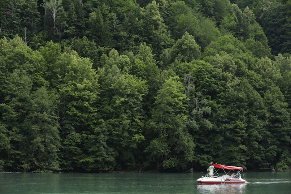 Reguli stricte pentru ambarcațiuni pe lacul Leșu: amenzi de până la 40.000 de lei