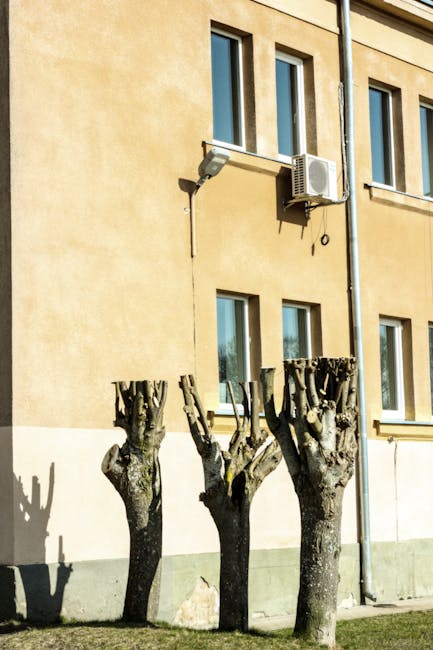 Echipele din Oradea se pregătesc pentru toaletarea arborilor în diverse locații
