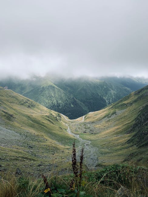 Albume de fotografii abandonate în Făgăraș: un mister în natură