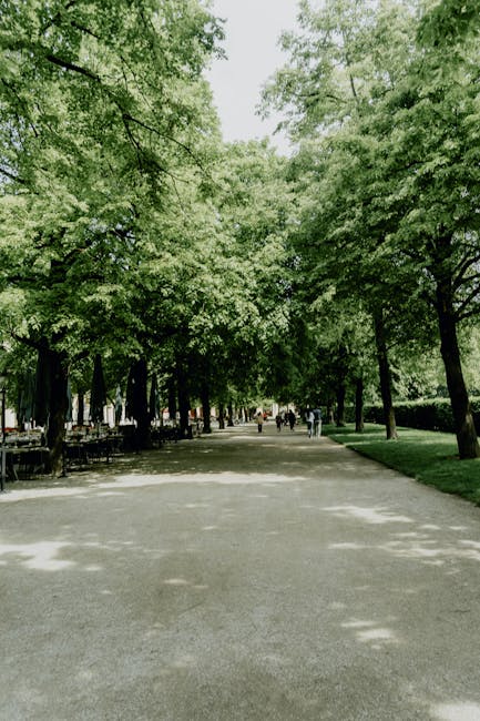 München investește milioane în copaci, în ciuda datoriilor uriașe ale orașului