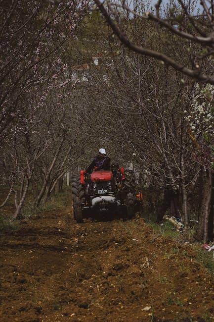 Pagube devastatoare în agricultura din Satu Mare din cauza înghețului de primăvară