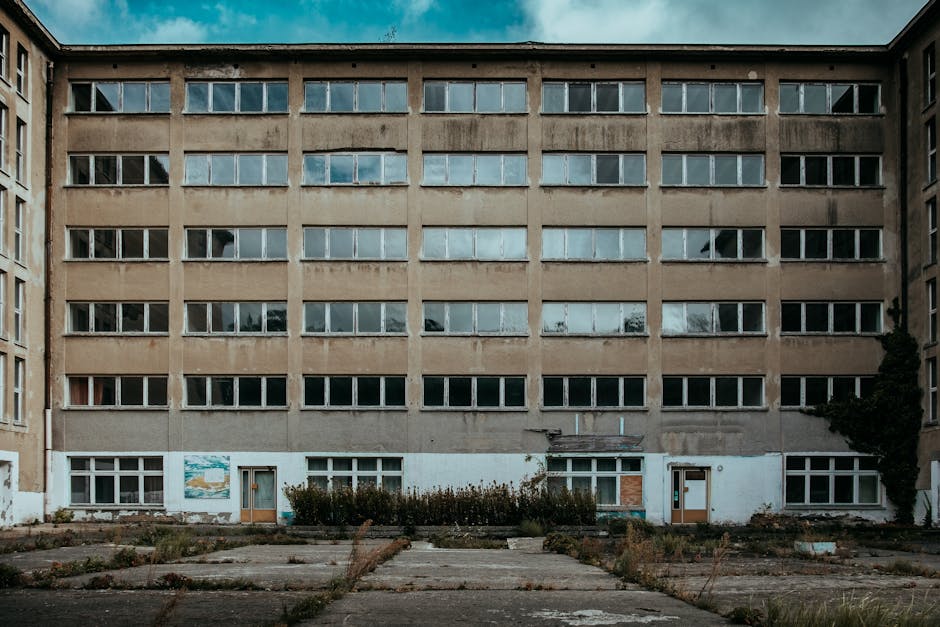 Descoperiri surprinzătoare într-un sat-fantomă din Germania