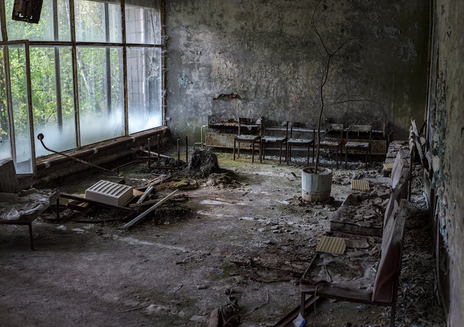 Locuri abandonate unde natura își revendică teritoriul
