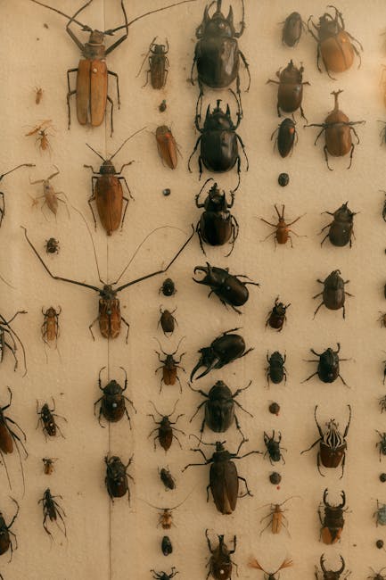 Taylor Swift devine inspiratia pentru noi specii de insecte