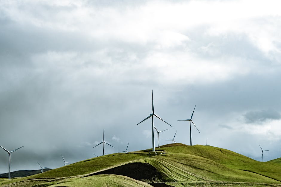 Reguli mai stricte pentru energia verde: Guvernul propune garanții financiare sporite