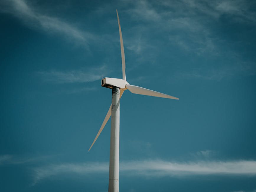Studenți din șase țări descoperă inovațiile în tranziția energetică la Oradea