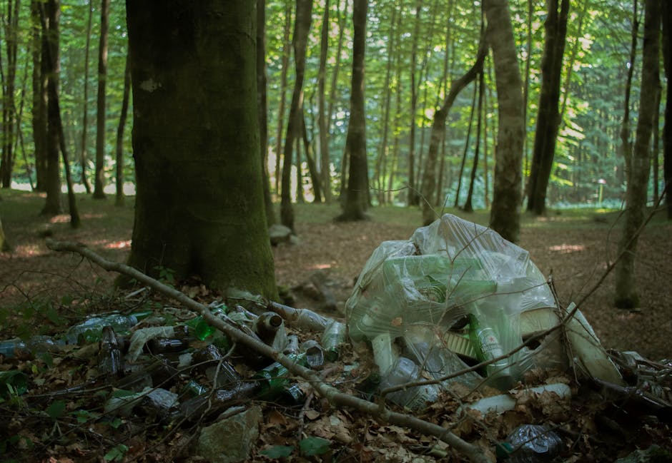 Săveni, Botoșani: Închiderea și ecologizarea unui depozit de deșeuri neconform