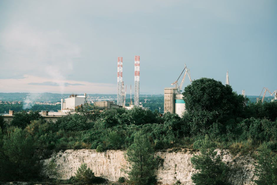 Optimism și perspective în industria mureșeană: vizita ministrului Economiei