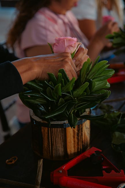 Descoperă inovațiile verzi la Garden Fest Iași: soluții sustenabile pentru orașe