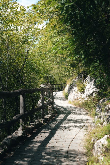 Descoperă istoria croaților din Carașova: un nou traseu tematic în Parcul Semenic