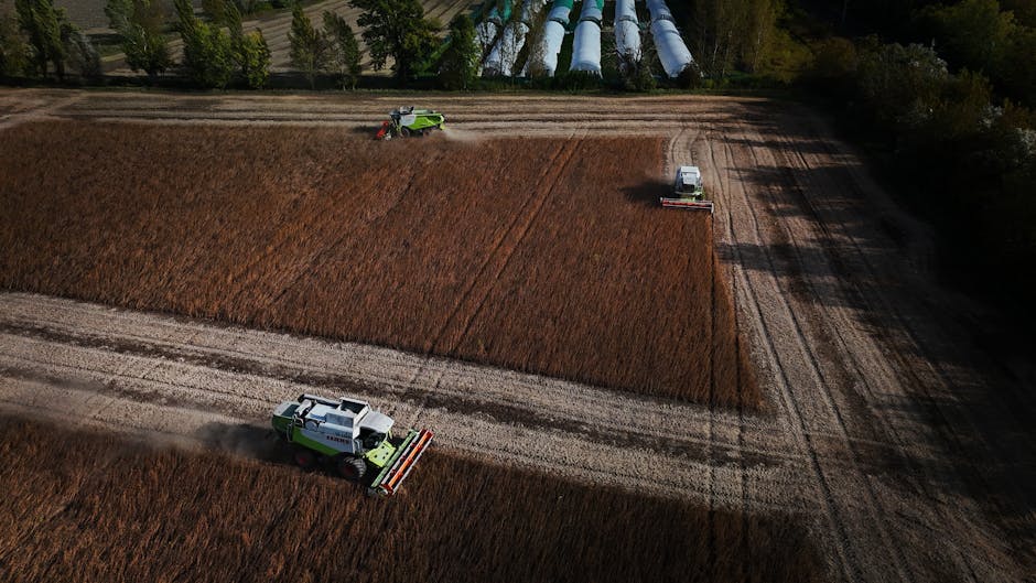 Descoperă realitățile agriculturii românești în ancheta „Agricultură fără rădăcini”