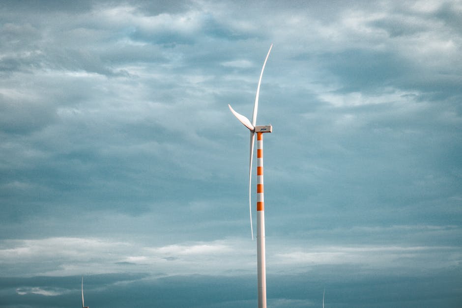 Complexul Energetic Oltenia finalizează achiziția certificatelor de carbon pentru 2025