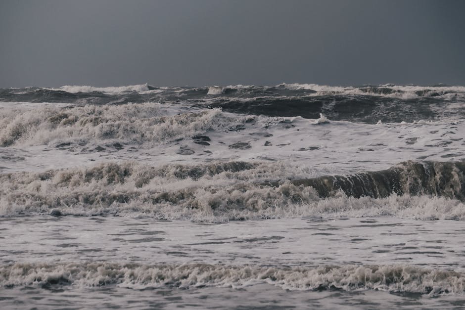 Oceanele ating temperaturi record: ce consecințe are fenomenul El Niño