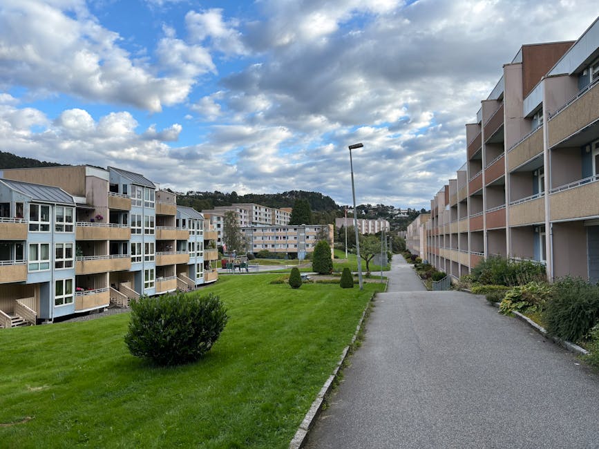 Primii pași în repartizarea locuințelor sociale din zona Narciselor