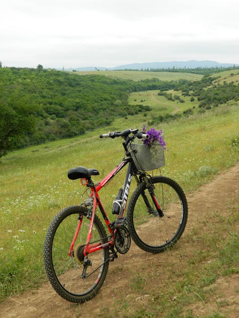 Descoperă traseele de biciclete din Suciu de Sus: aventuri în natură