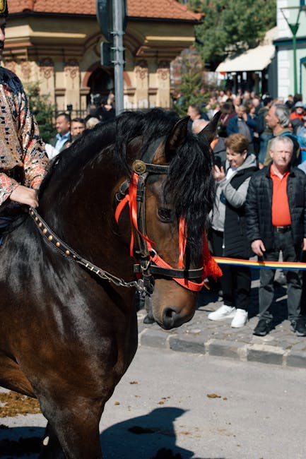 Zestrea Oașului 2026: Festival vibrant în Negrești-Oaș cu artiști de renume