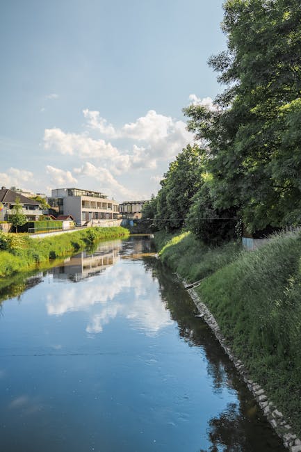 Baia Mare îmbrățișează viitorul cu proiectul ambițios Săsar navigabil