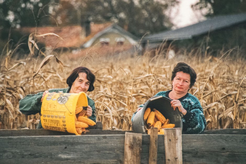 Cum fermierii modelează viitorul agriculturii durabile în 2026