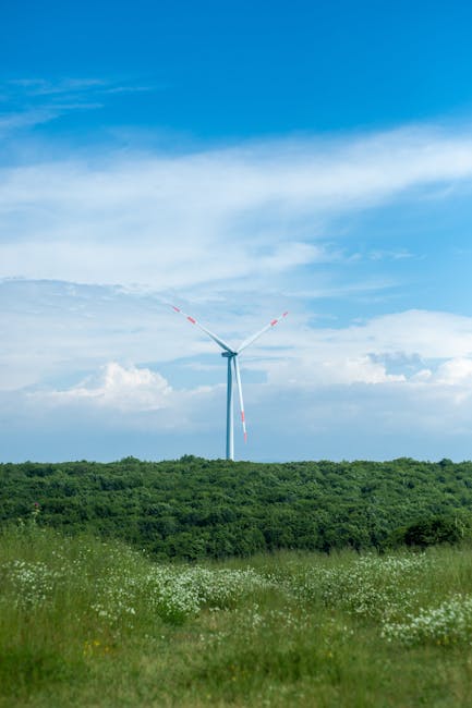 Maramureșul: bogății naturale și provocări pentru viitor