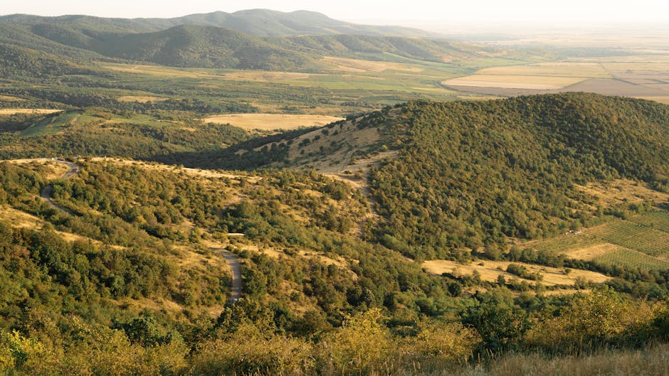 Descoperiți natura în weekend la Căsoaia!