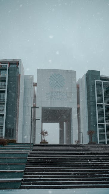 Descoperă viitorul educațional la UMFST: Admitere 2026 la Facultatea de Studii Medicale Internaționale