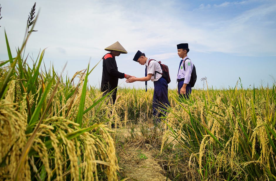 Descoperă cum Erasmus+ transformă tinerii mecanici agricol din România