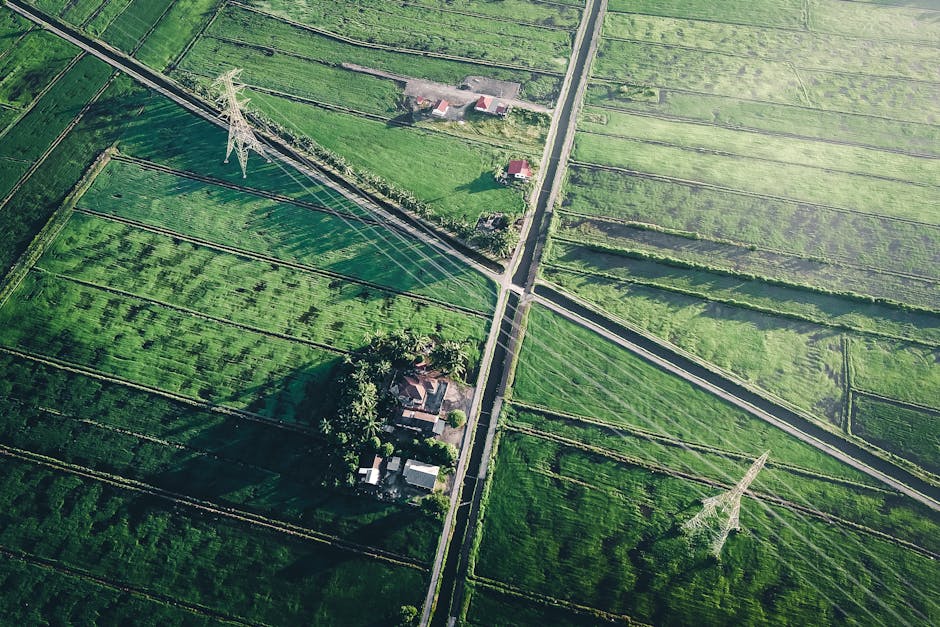 Vrancea în prim-plan: educație, agricultură și infrastructură sub lupa actualității