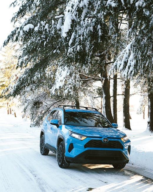 Întâlnire cu inovația: caravana Toyota Autoglobus ajunge la Deva