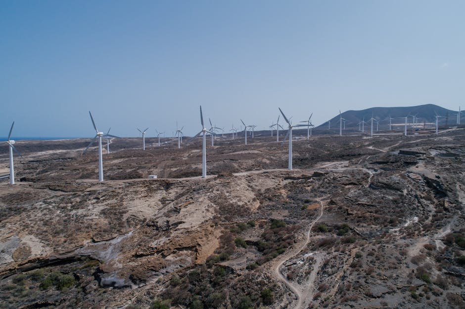 Investiție majoră în grafitul din Baia de Fier: proiect european de decarbonizare