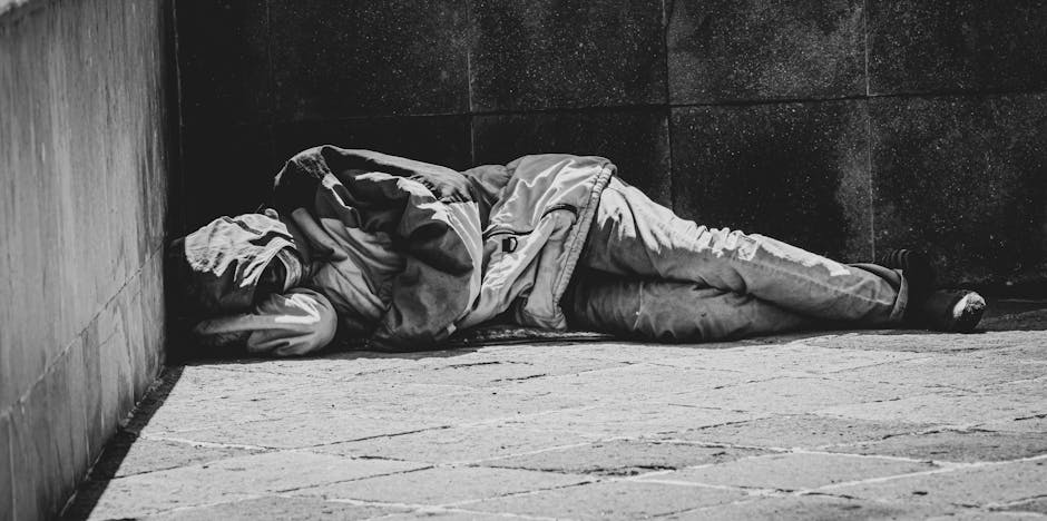 O grădină din Cluj-Napoca devine adăpost pentru persoanele fără locuință