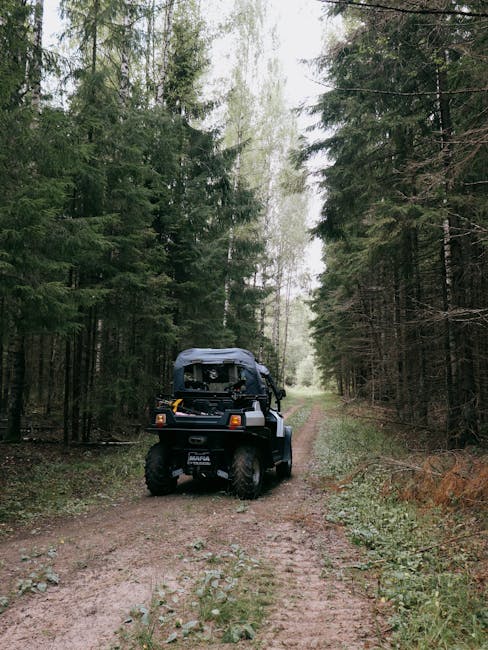 Conducător fără permis și ATV neînmatriculat, prins în Finteușu Mic