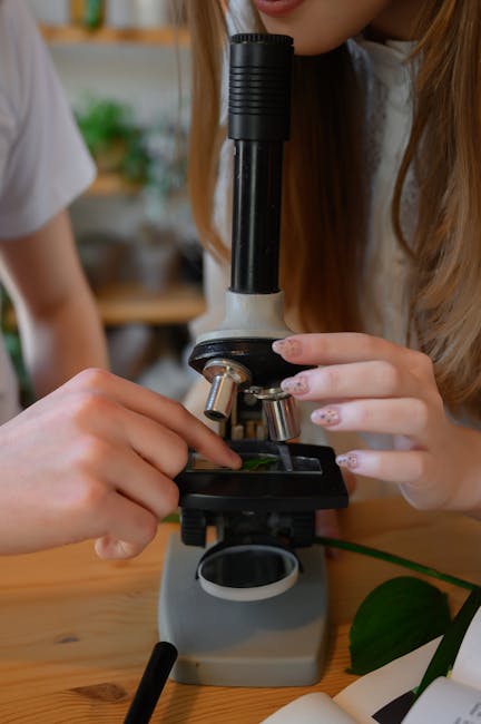 Un elev din Timișoara câștigă aurul la Olimpiada Națională de Biologie