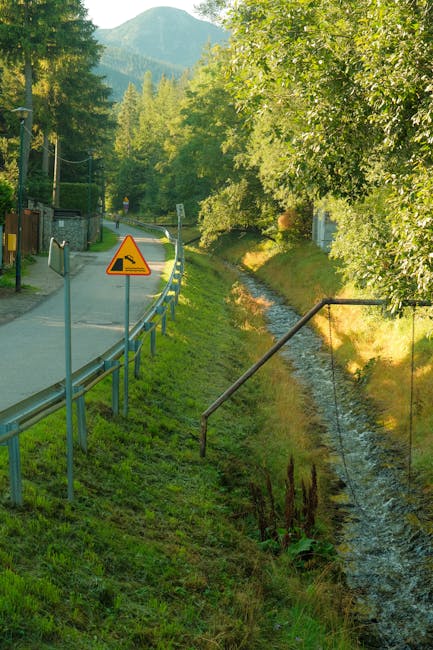 Cod galben de caniculă în Botoșani: ce trebuie să știi pentru a te proteja
