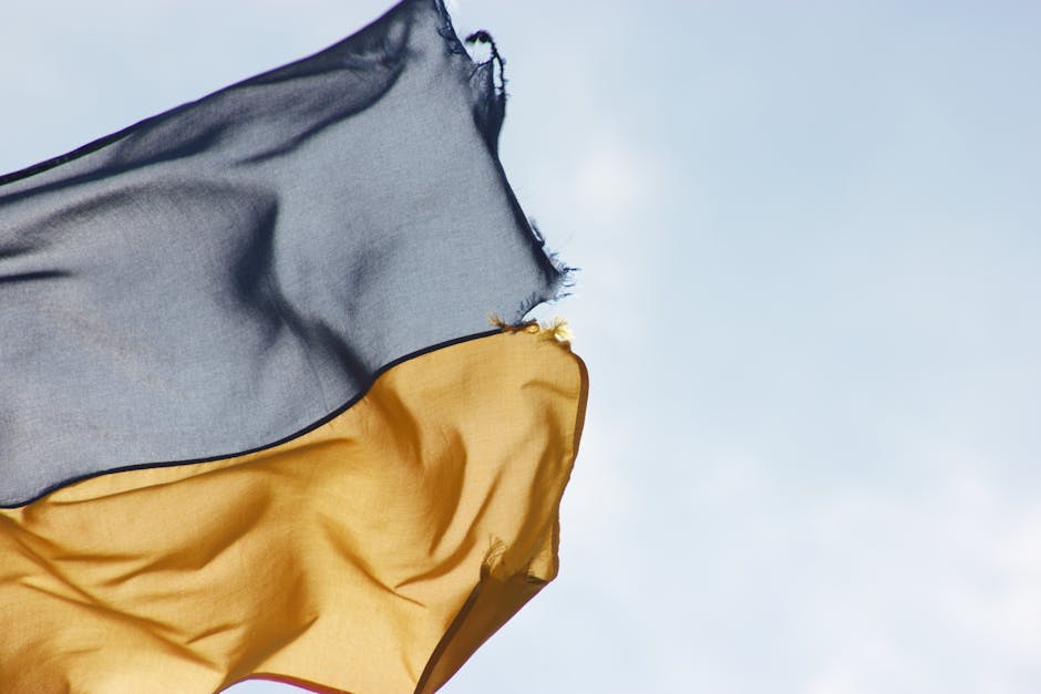 Alertă de vreme severă: cod galben de vânt în Suceava