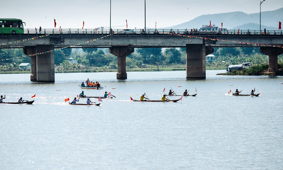 Vaporașele suspendate temporar pentru competiții pe Bega