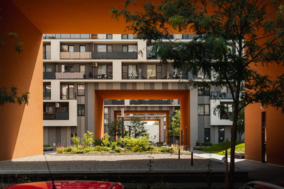 Bucureștiul îmbrățișează natura: grădini urbane în inima capitalei