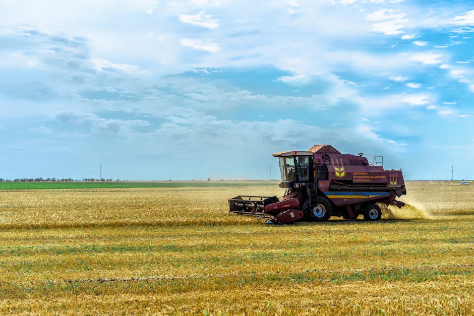 Impactul terenurilor minate din Ucraina asupra prețurilor alimentelor globale