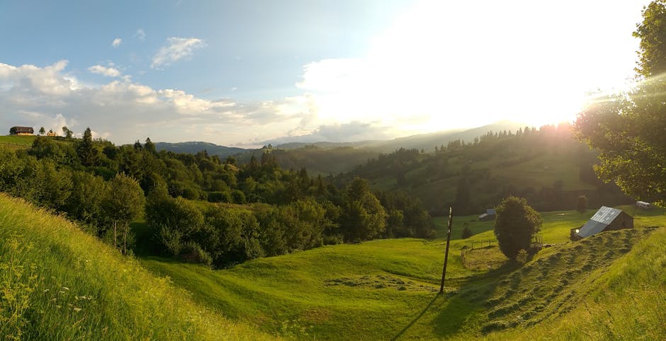 Proiectul Green LUPO: Întâlnirea decisivă pentru dezvoltarea ecologică în Maramureș