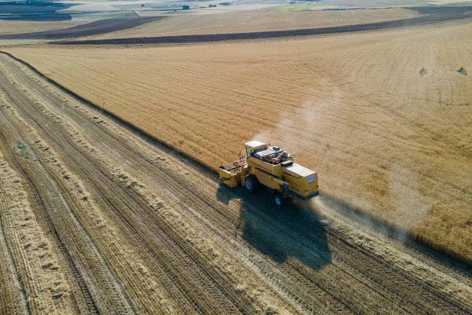 Salariul minim unificat în România din 2026: ce înseamnă pentru agricultură și industria alimentară