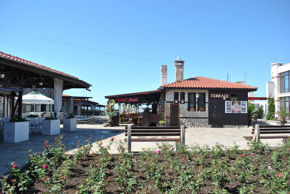 Decizia finală în disputa dintre Primăria Timișoara și restaurantul Dinar